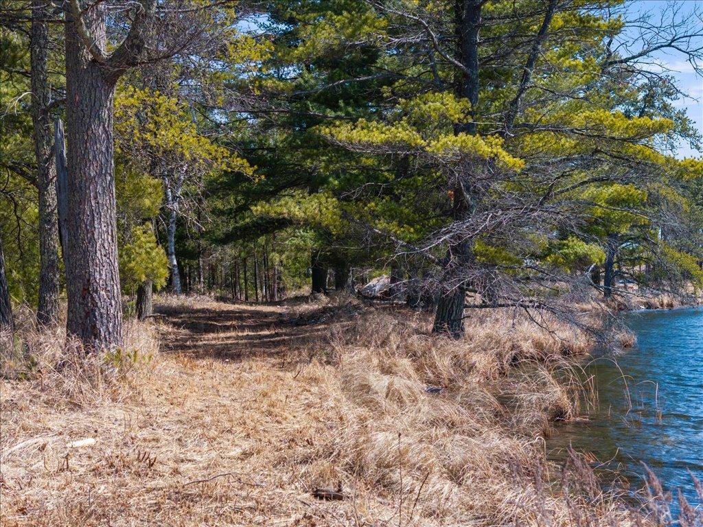 19253 N Shirt Lake Road, Deerwood, Minnesota image 34