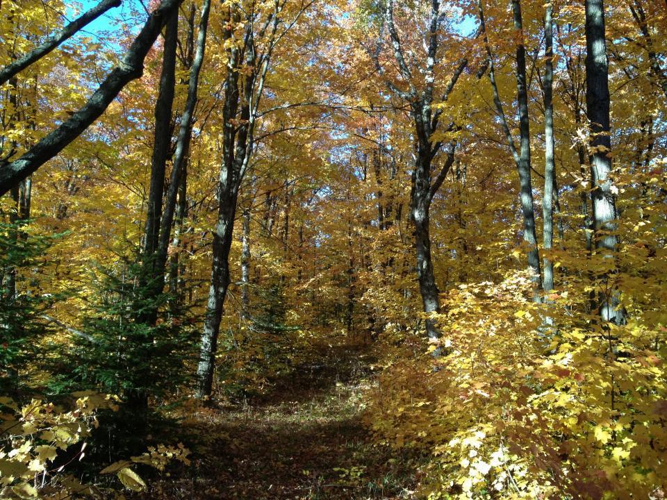 446 Stewart Lake Road, Two Harbors, Minnesota image 3