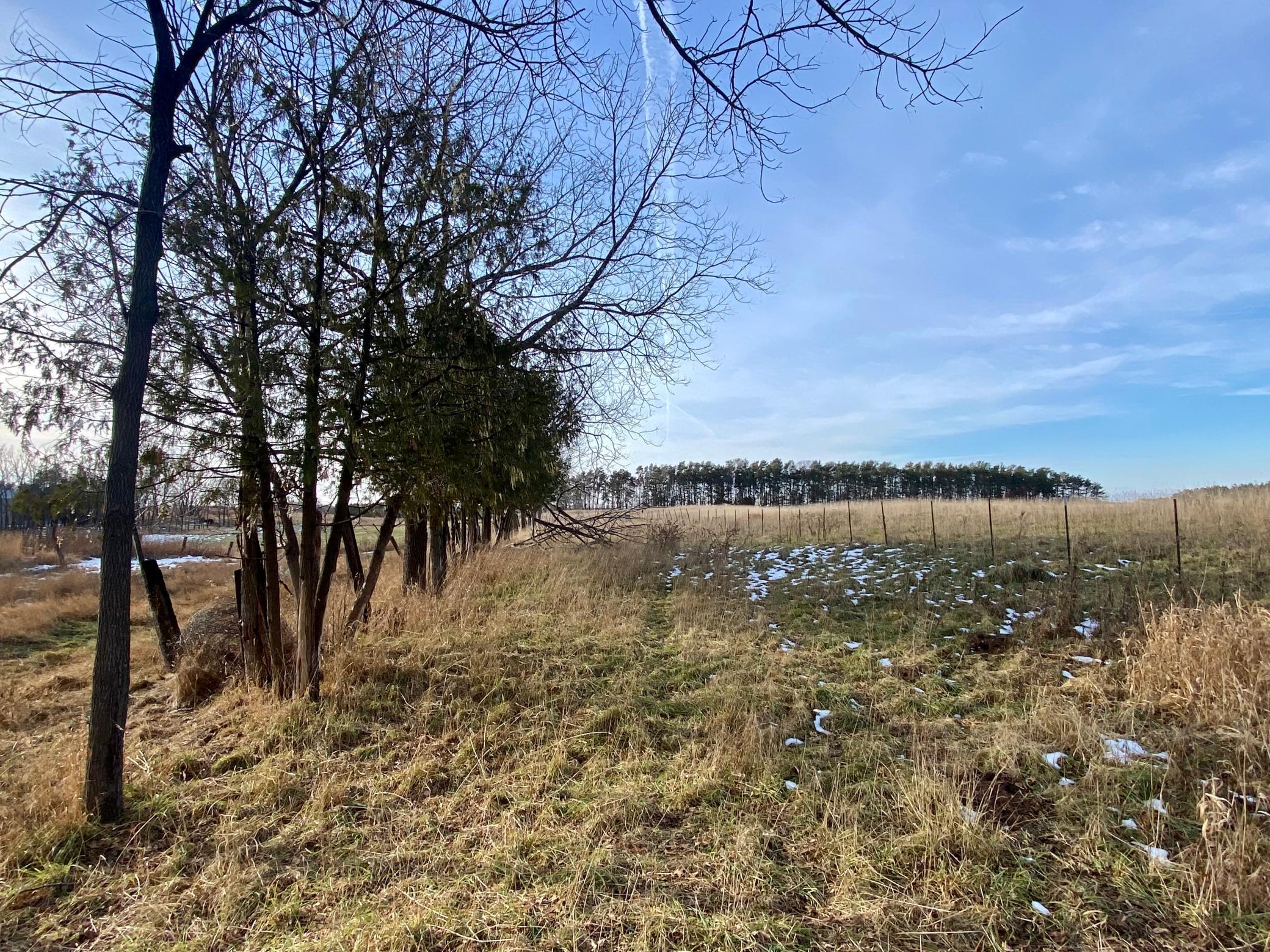 14420 Homestead Avenue, Hugo, Minnesota image 27