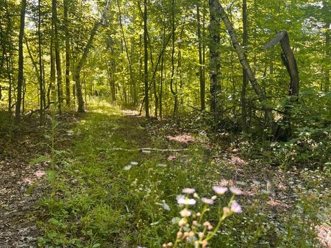 Vacant Land For Sale - LOT 2 County Rd Bb<br/> Saint Croix County, Woodville, WI 54028