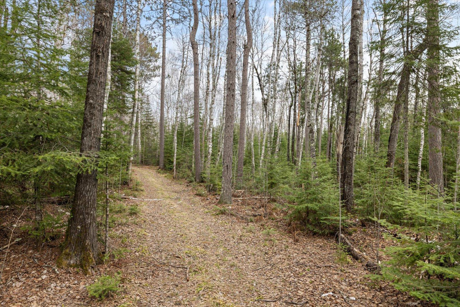 6301 Hunters Pass, Tower, Minnesota image 3