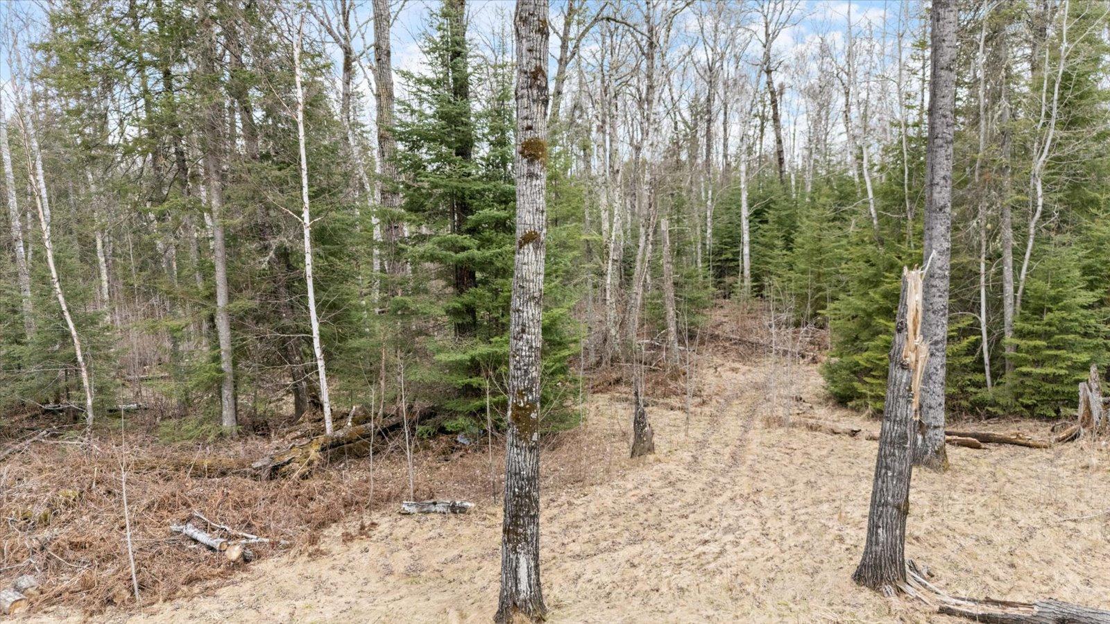 6301 Hunters Pass, Tower, Minnesota image 4