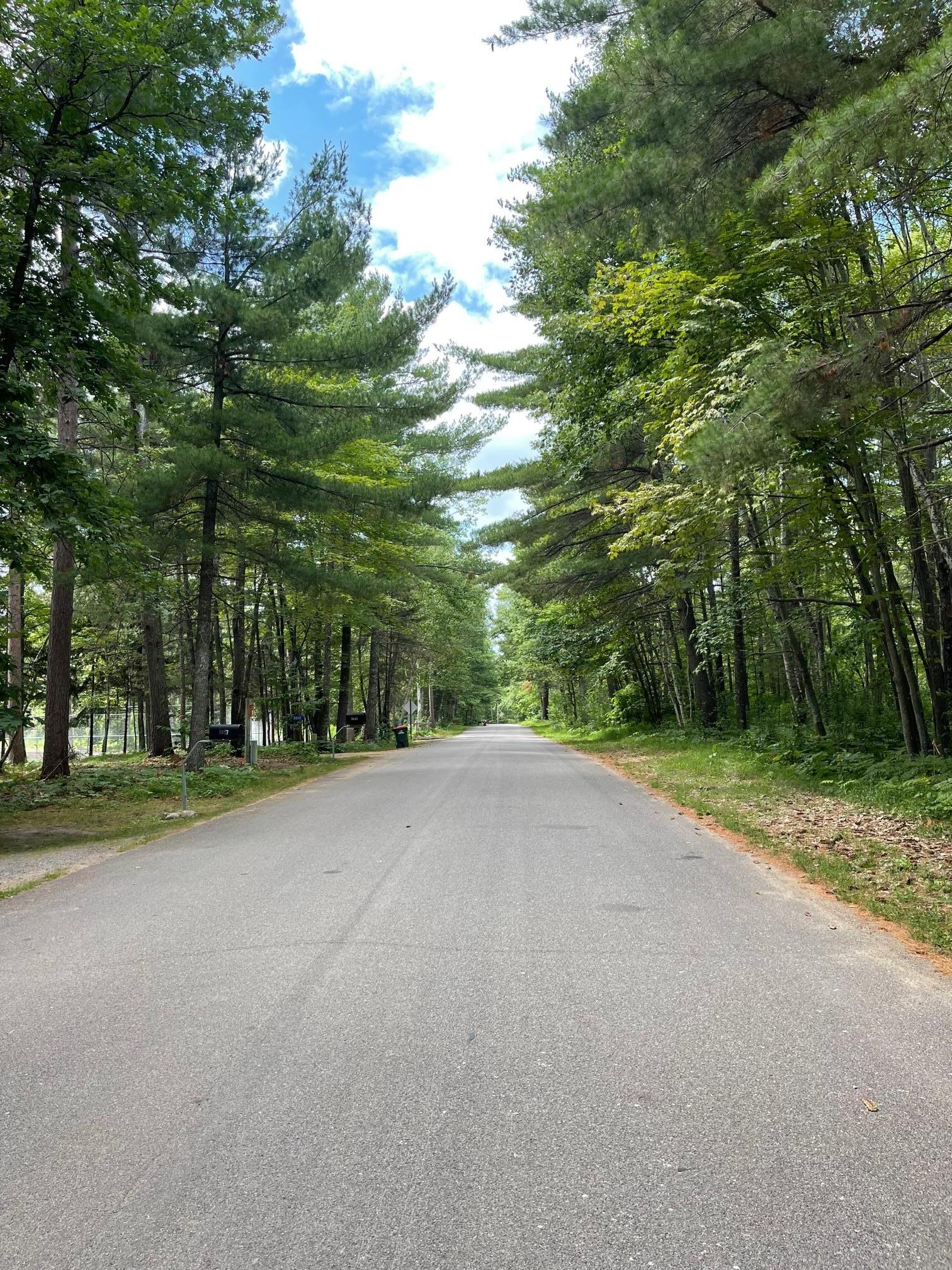 XXXX Father Foley Drive, Pine River, Minnesota image 5