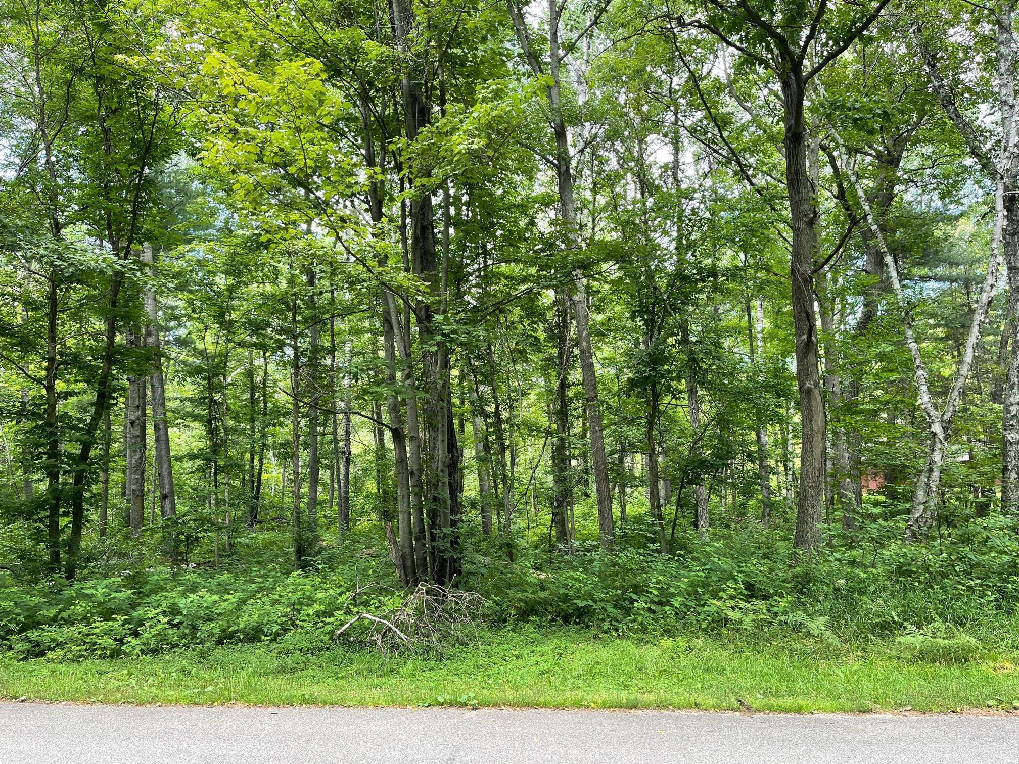 XXXX Father Foley Drive, Pine River, Minnesota image 1