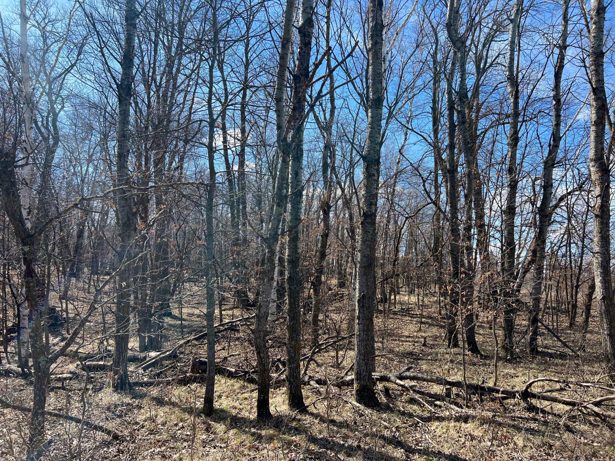 TBD Tower Road, Detroit Lakes, Minnesota image 16