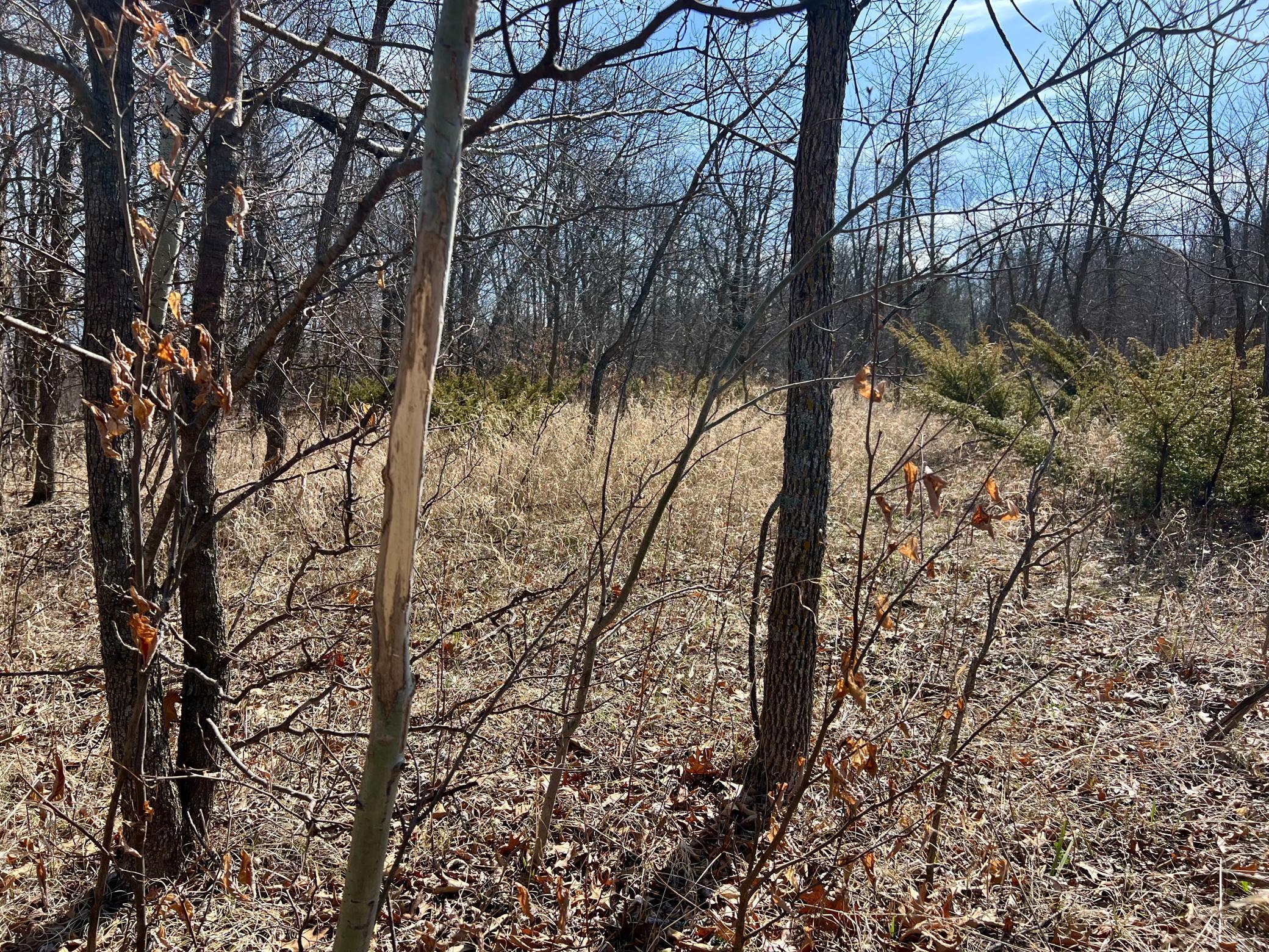 TBD Tower Road, Detroit Lakes, Minnesota image 13