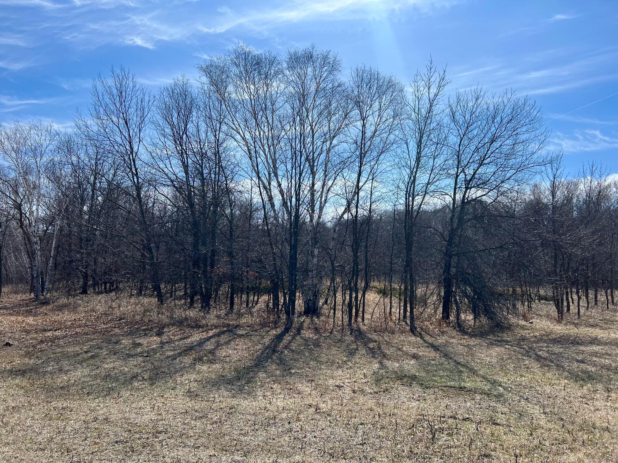 TBD Tower Road, Detroit Lakes, Minnesota image 11