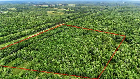 Vacant Land For Sale - TBD Taylor Birch Rd<br/> Sandstone, MN 55037