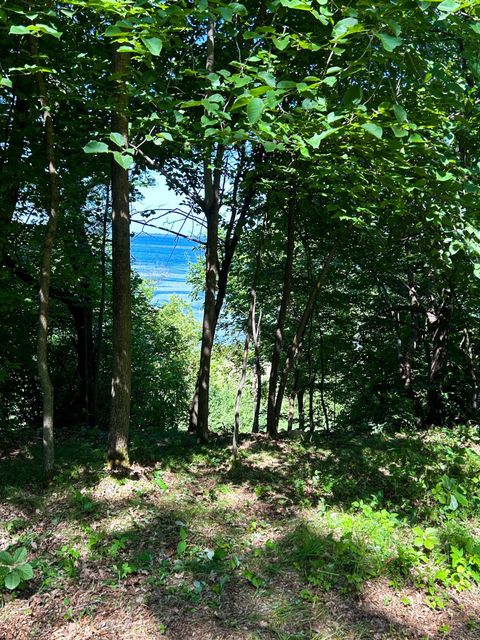 Vacant Land For Sale - 49137 360th Street<br/> New York Mills, MN 56567