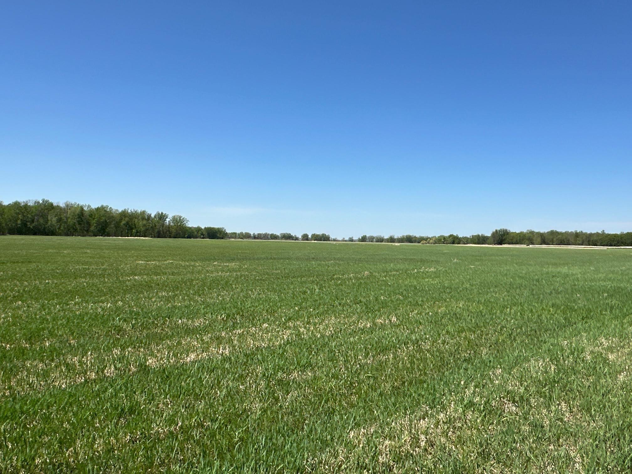 37791 390th Avenue, Aitkin, Minnesota image 45