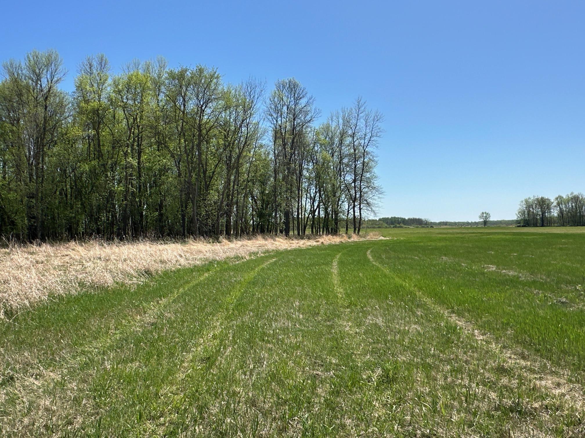 37791 390th Avenue, Aitkin, Minnesota image 14
