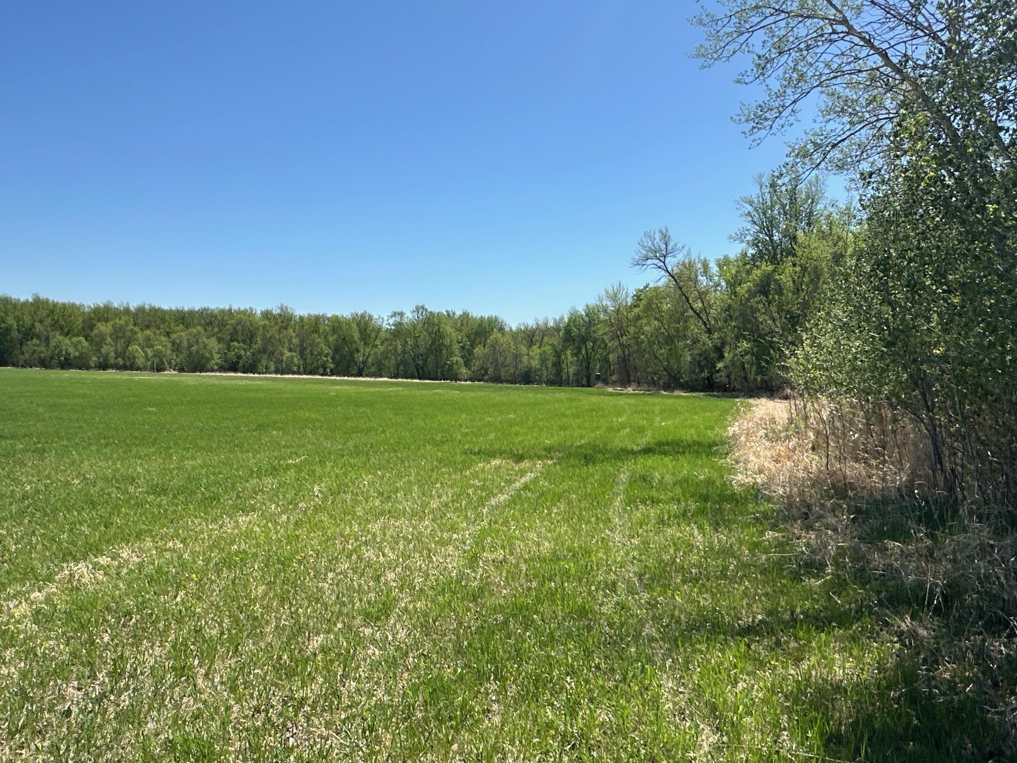37791 390th Avenue, Aitkin, Minnesota image 5