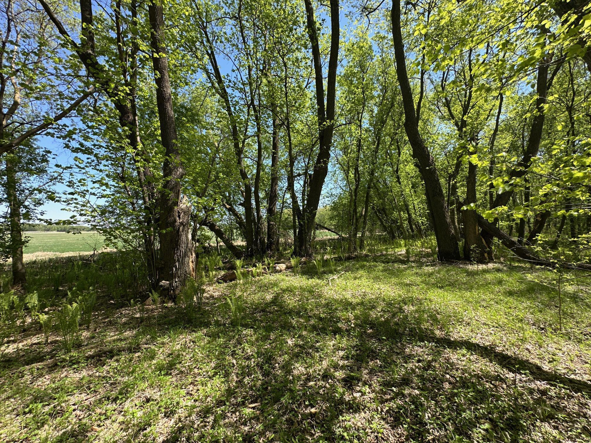 37791 390th Avenue, Aitkin, Minnesota image 8