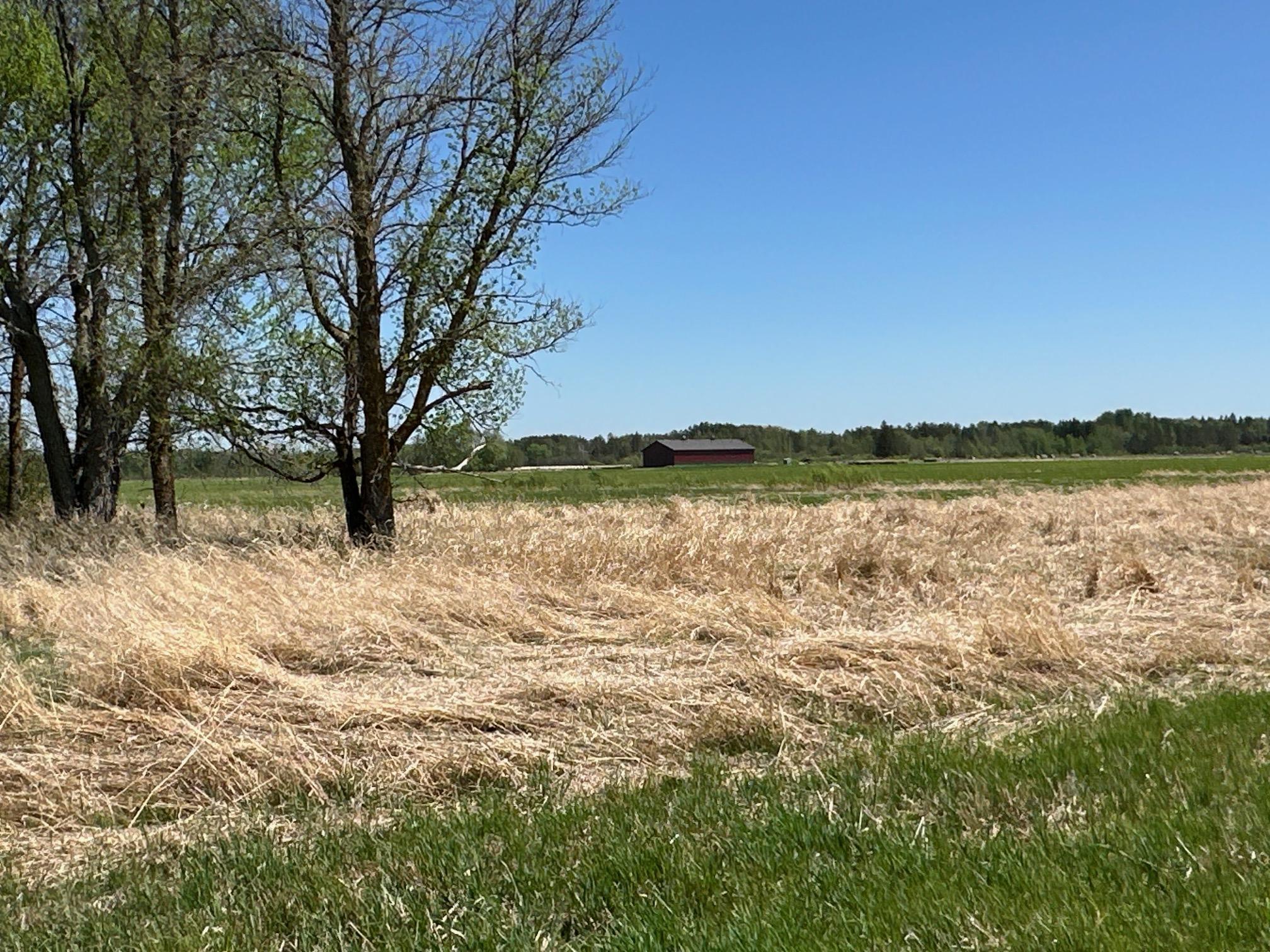 37791 390th Avenue, Aitkin, Minnesota image 12