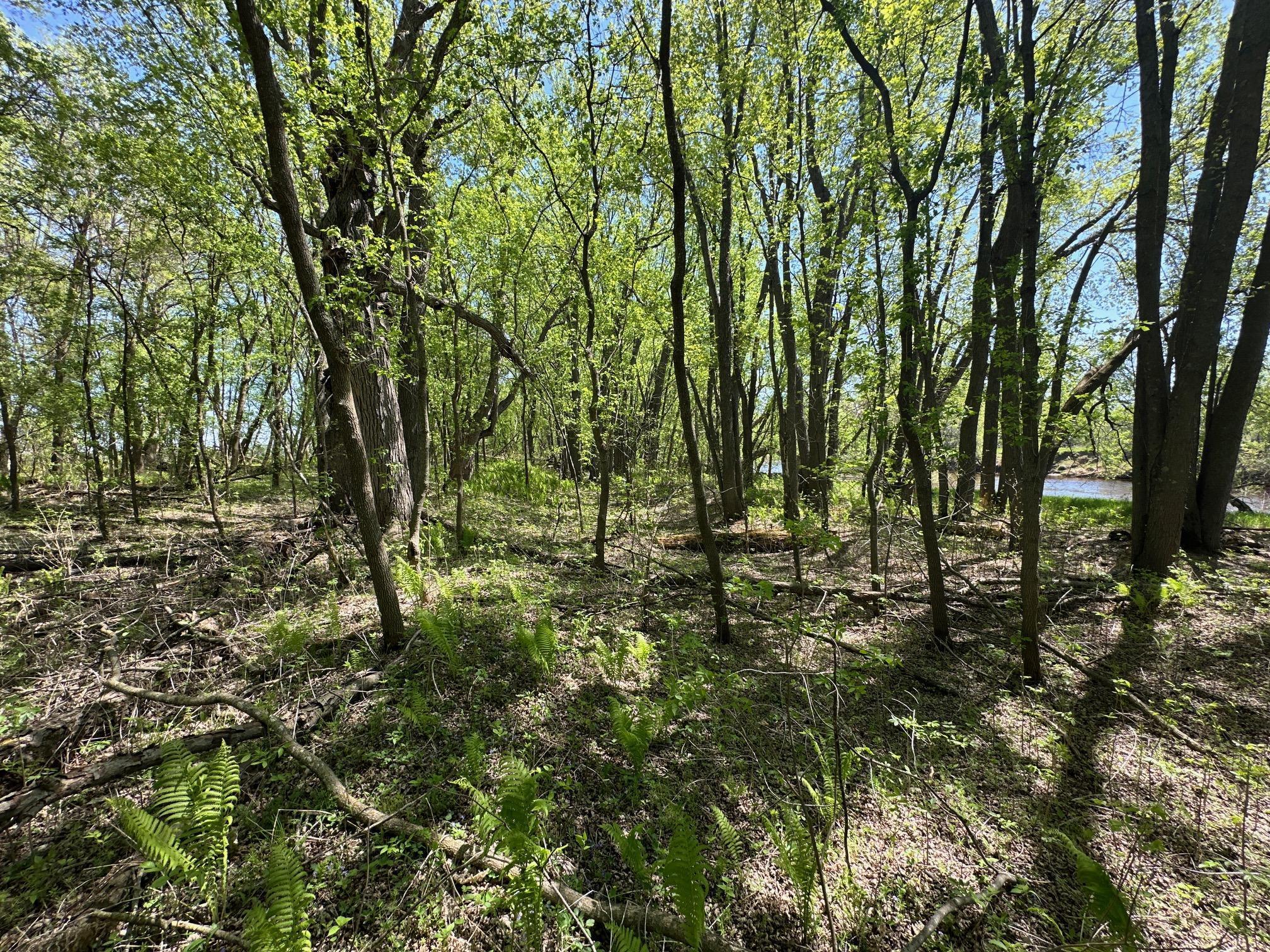 37791 390th Avenue, Aitkin, Minnesota image 43