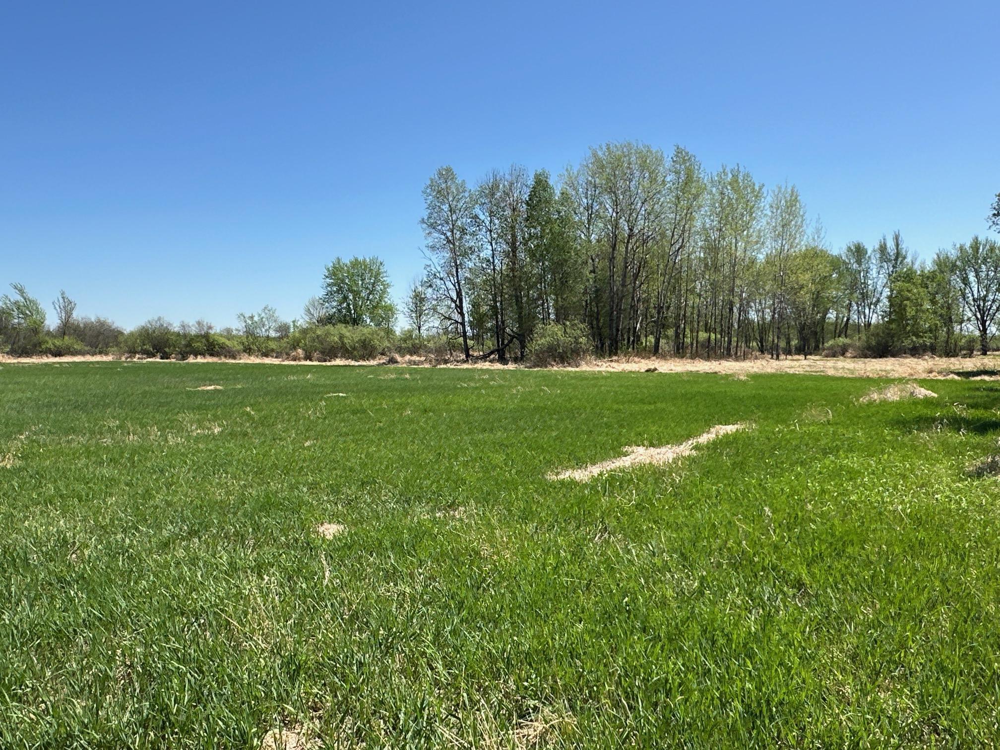 37791 390th Avenue, Aitkin, Minnesota image 47