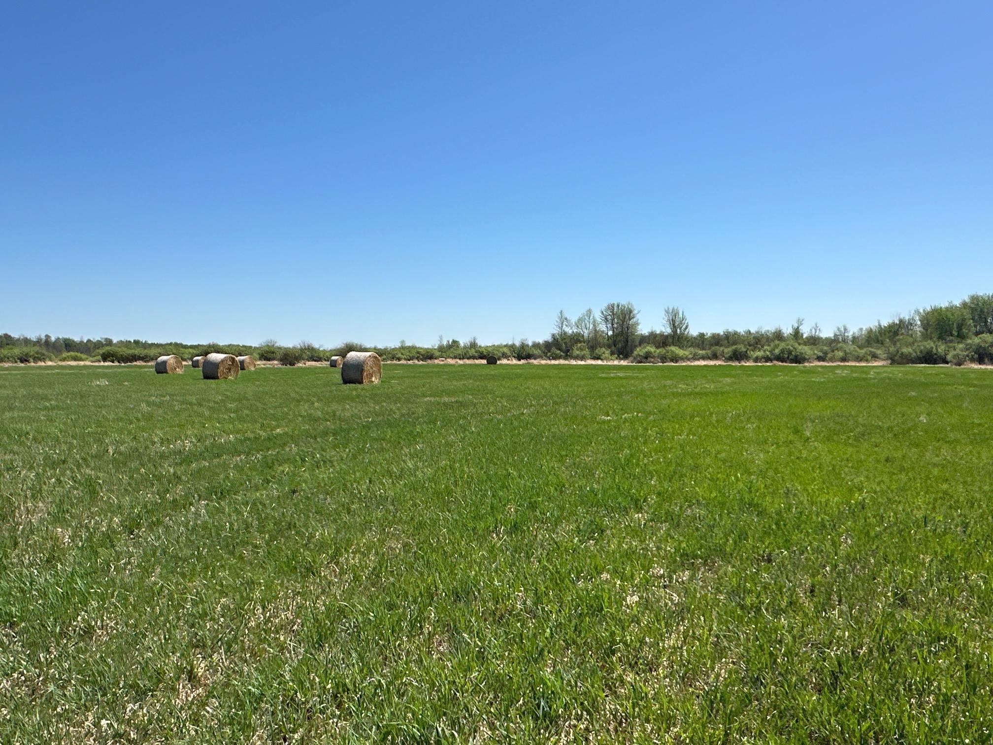 37791 390th Avenue, Aitkin, Minnesota image 48