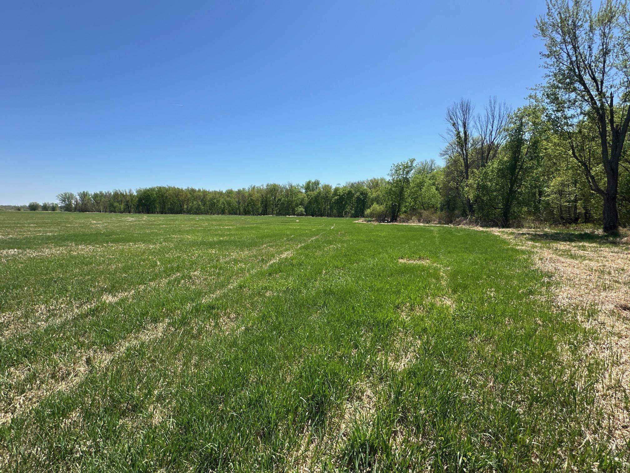37791 390th Avenue, Aitkin, Minnesota image 37