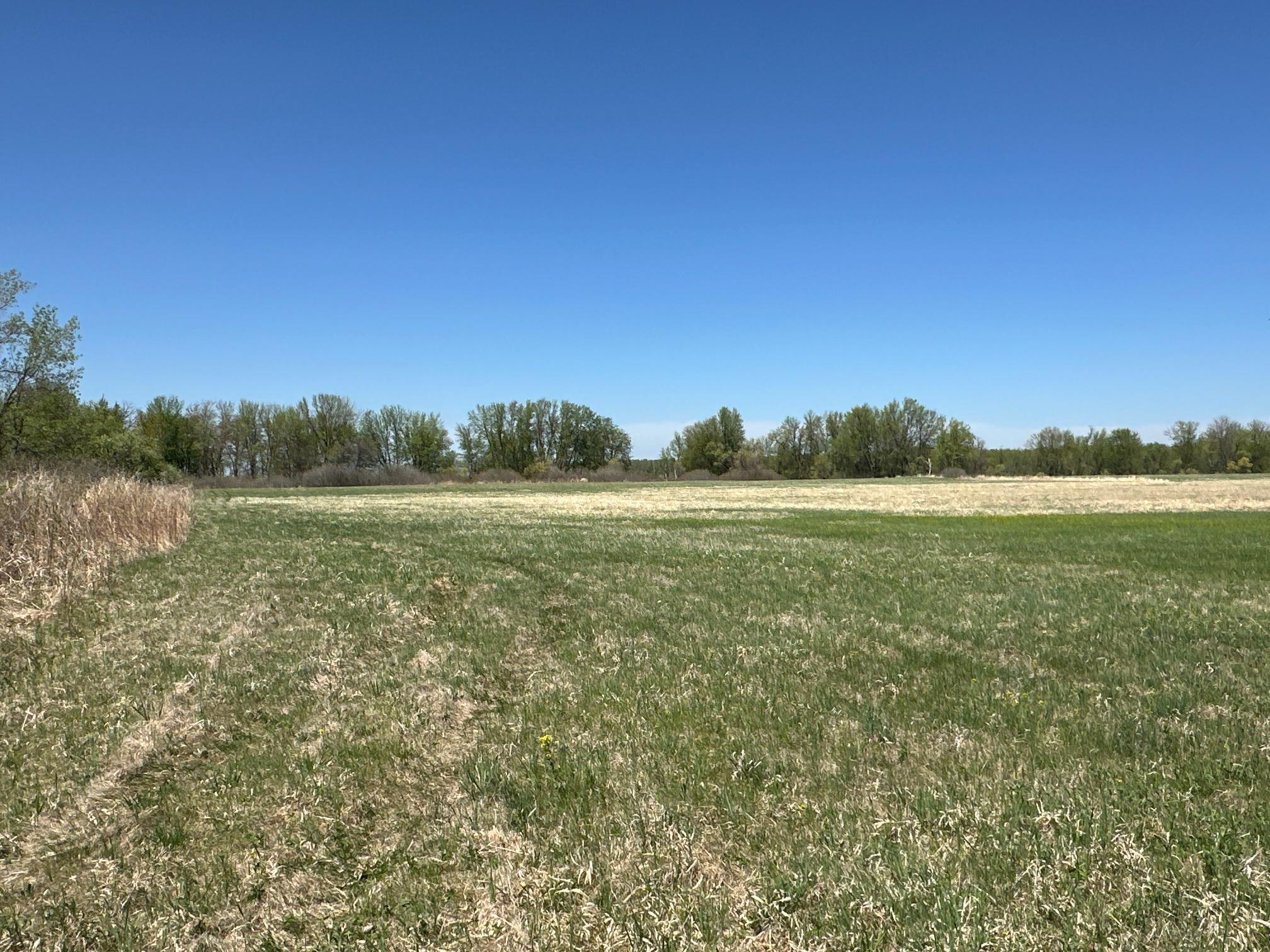 37791 390th Avenue, Aitkin, Minnesota image 36