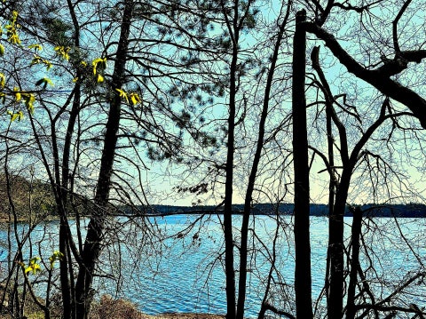 Vacant Land For Sale - TBD Rognaldson Road<br/> Crow Wing County, Brainerd, MN 56401