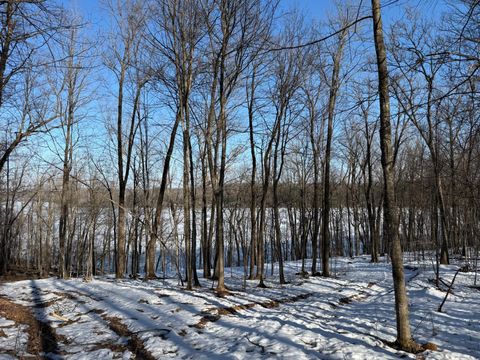 Vacant Land For Sale - TBD Balsam Drive<br/> Birchwood, WI 54817