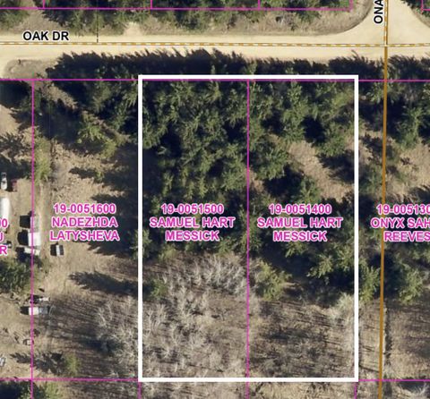 Vacant Land For Sale - LOTS 22 & 23 Oak Drive<br/> Todd County, Browerville, MN 56438