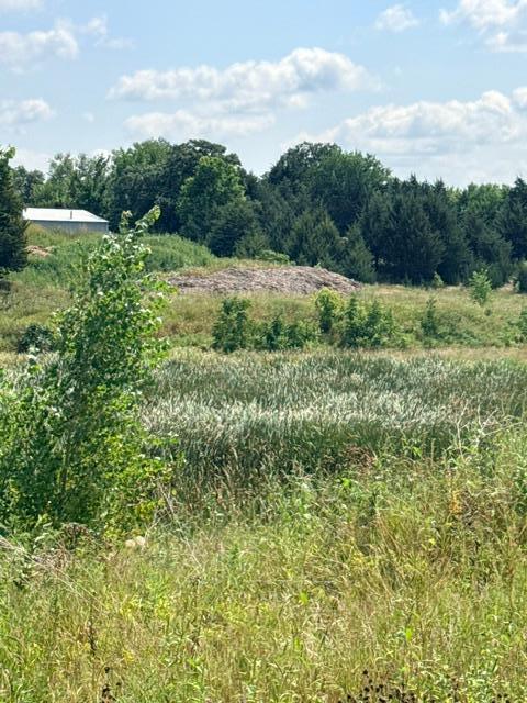 Vacant Land For Sale - 2574 Buffalo Ridge Drive<br/> Buffalo, MN 55313