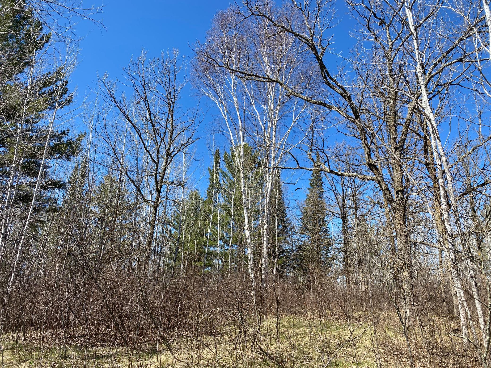 TBD County Road 89, Park Rapids, Minnesota image 12