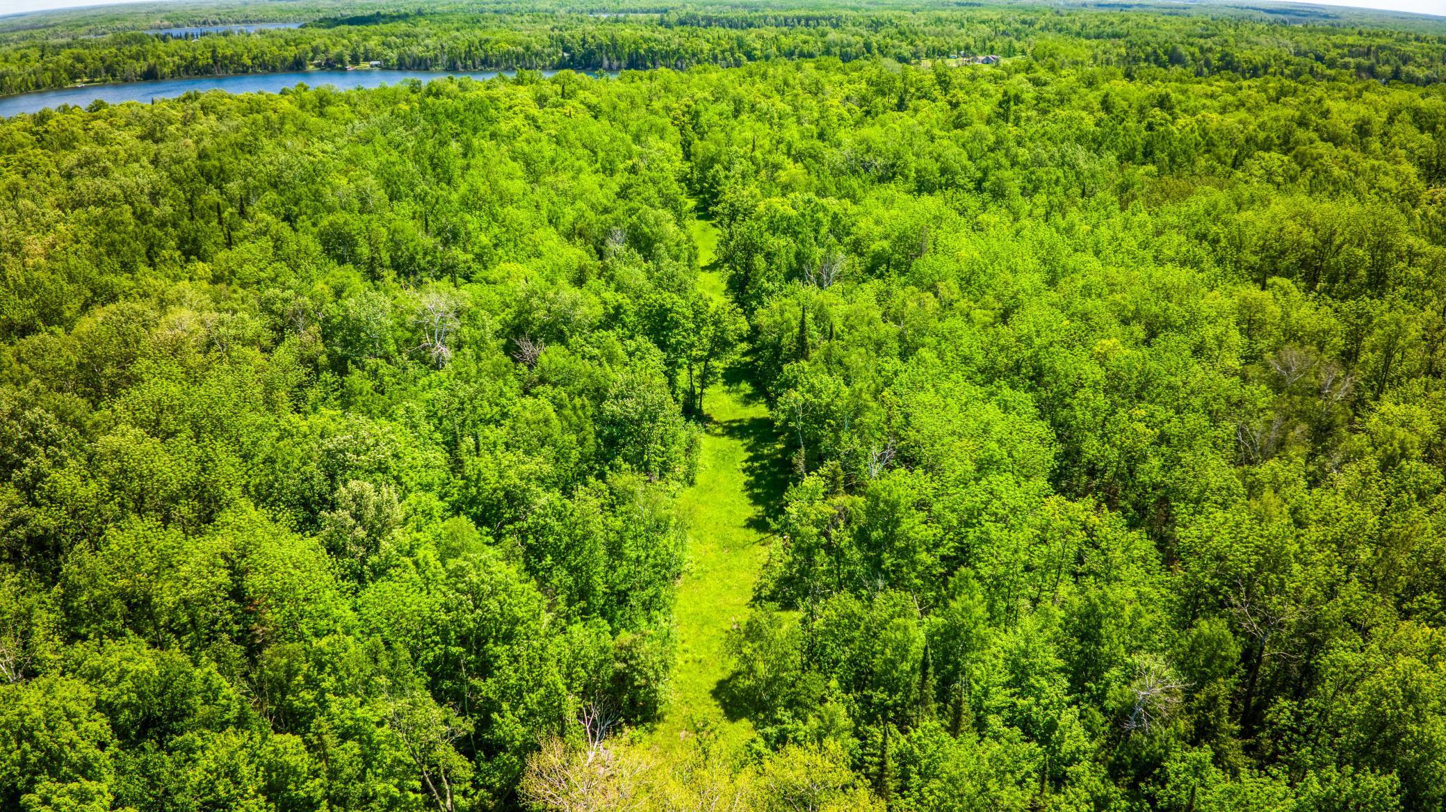 0000 Deervine Trail, Tenstrike, Minnesota image 32