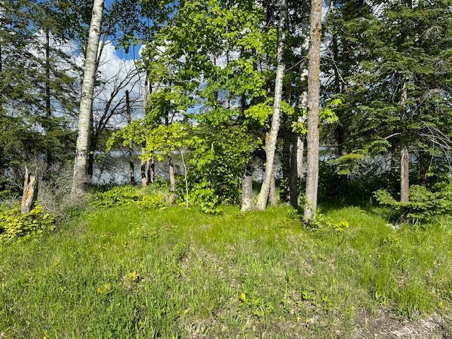 0000 Deervine Trail, Tenstrike, Minnesota image 11