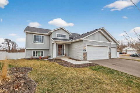 Homes For Sale - 401 66th Street<br/> Waverly, MN 55390