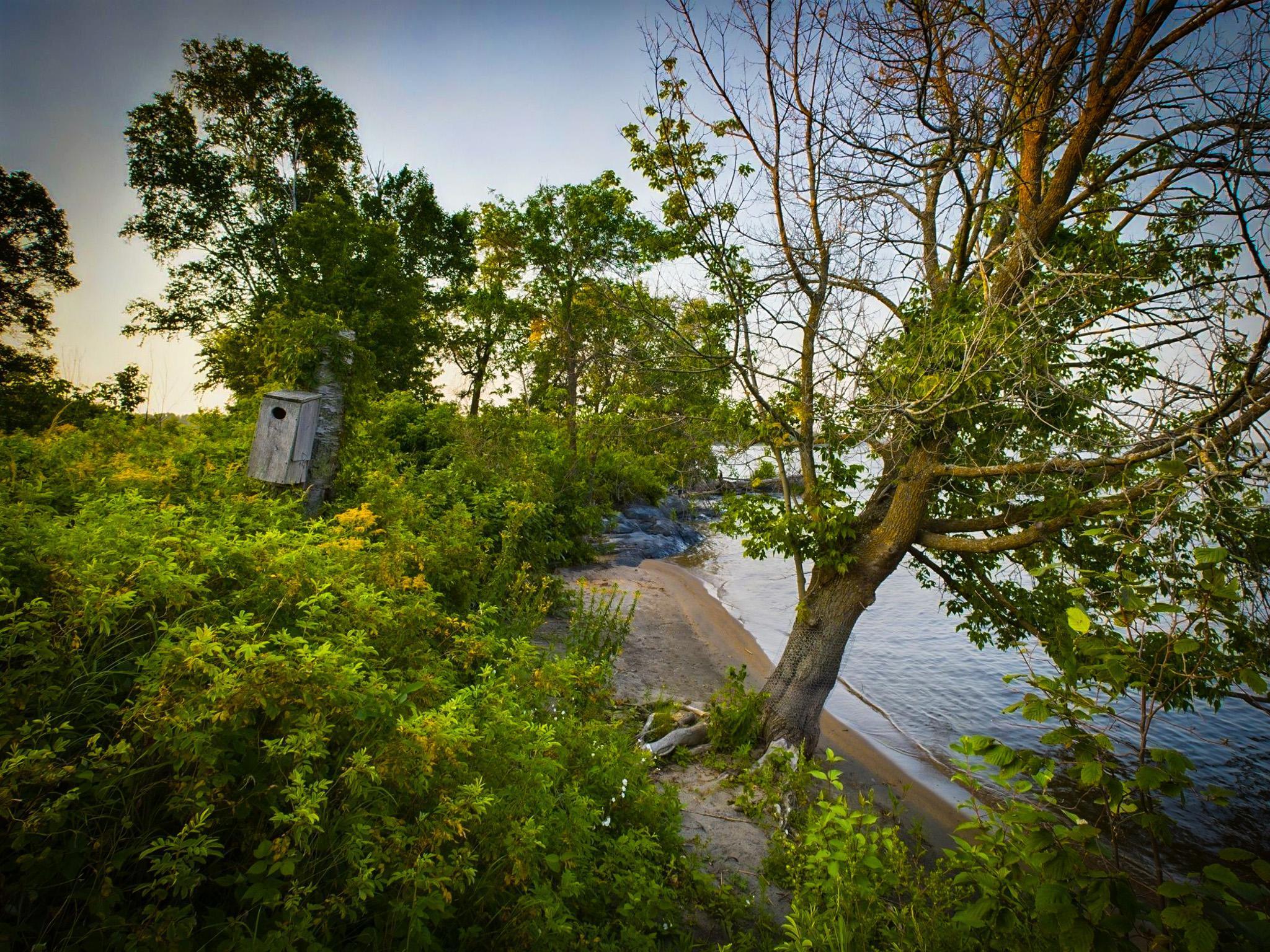 1 Birch Island Is, Angle Inlet, Minnesota image 31