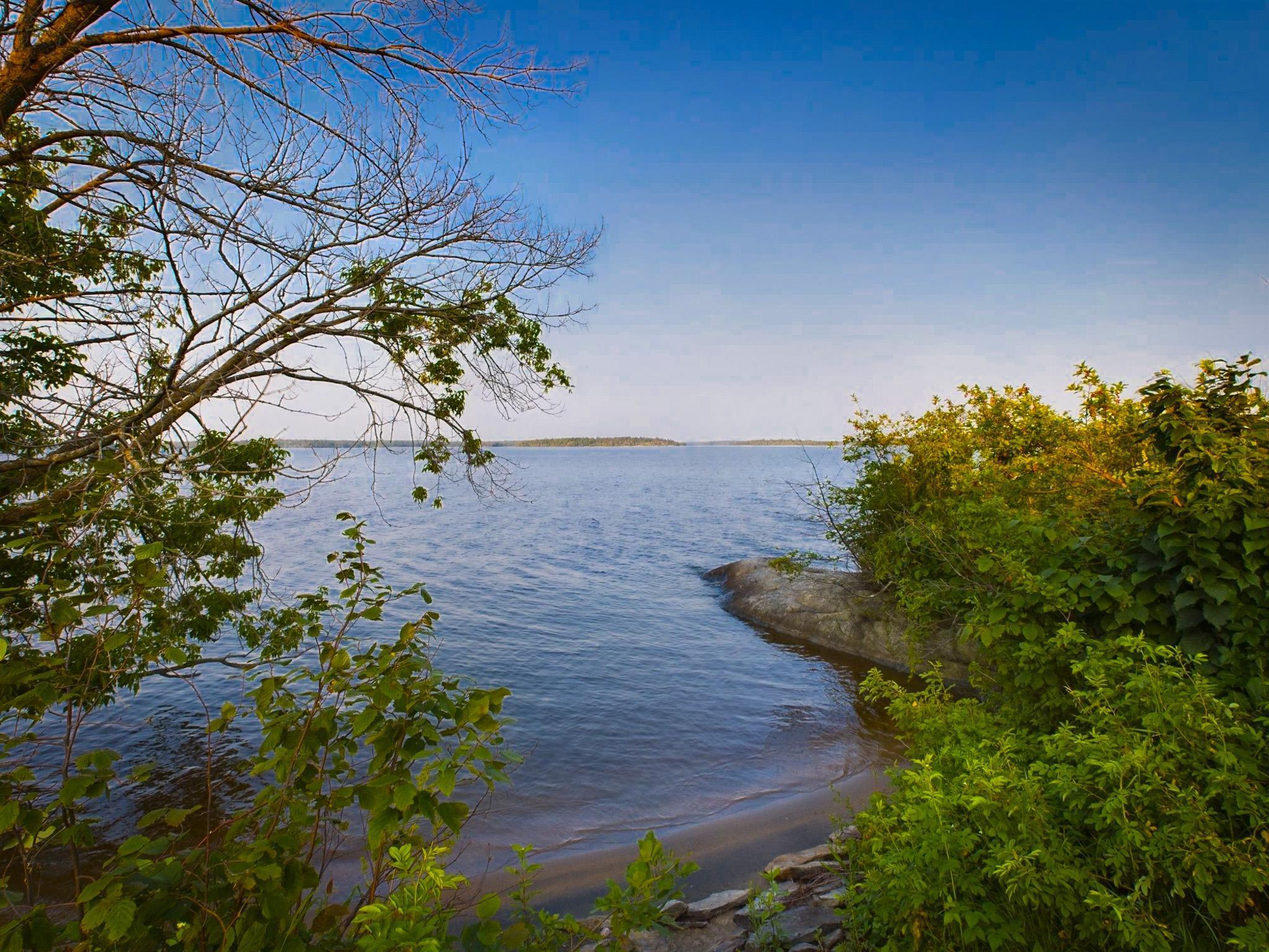 1 Birch Island Is, Angle Inlet, Minnesota image 27