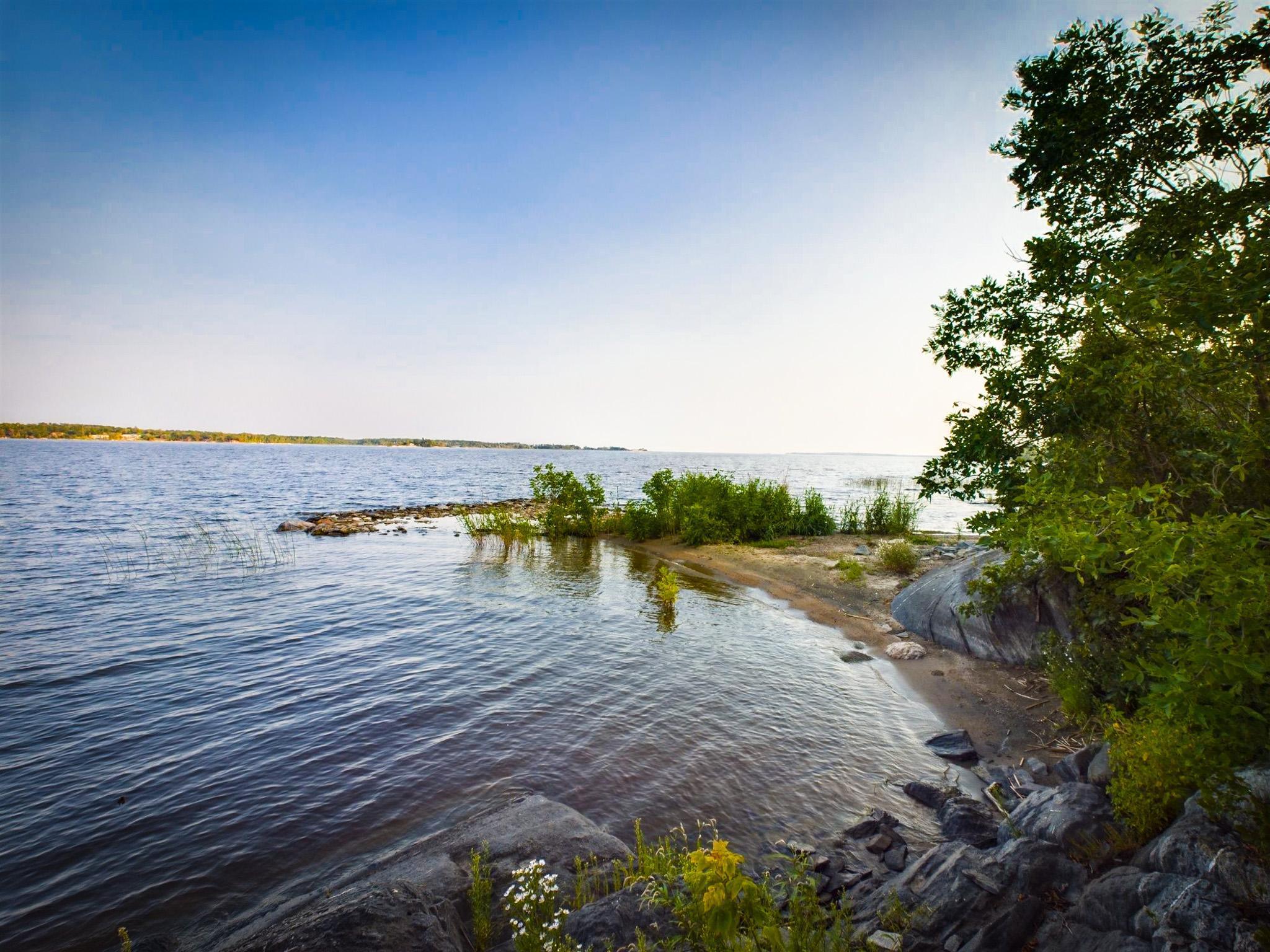 1 Birch Island Is, Angle Inlet, Minnesota image 28