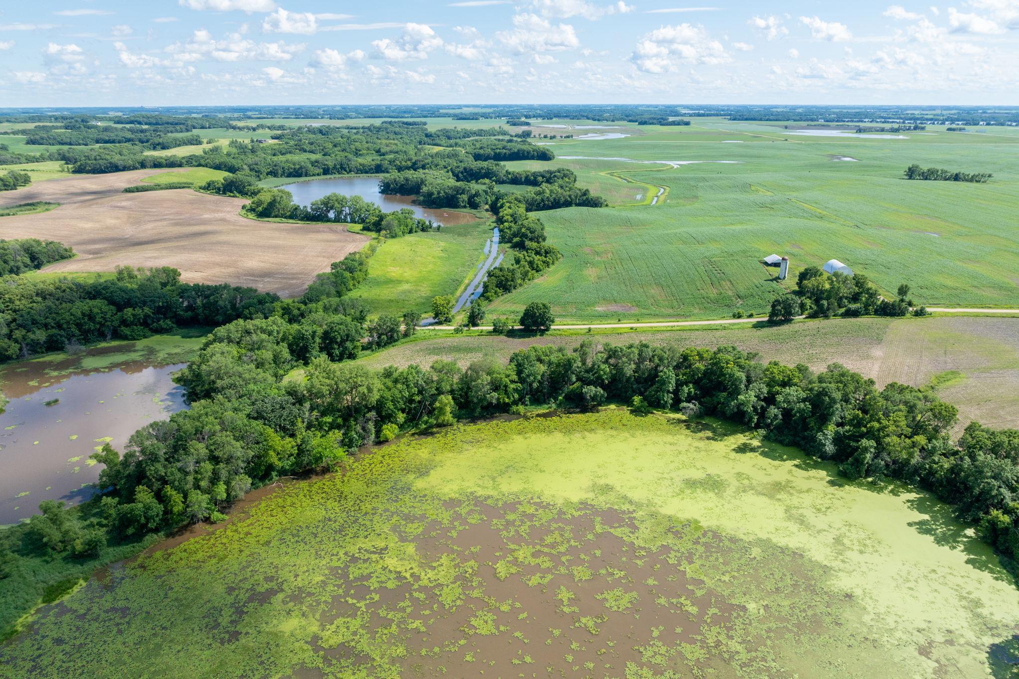 TBD 480th Lane, Madison Lake, Minnesota image 6