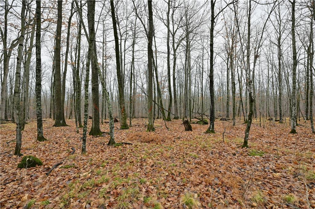 80 Acres County Highway C, Exeland, Wisconsin image 3