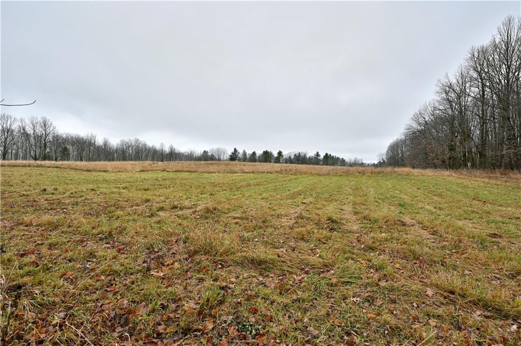 80 Acres County Highway C, Exeland, Wisconsin image 9