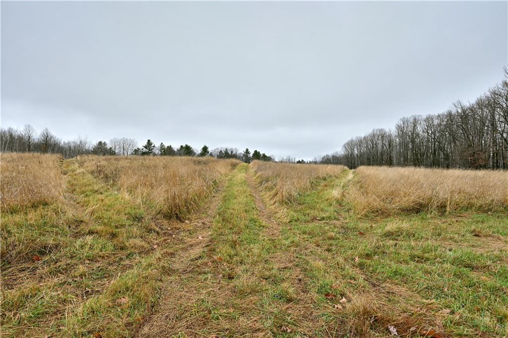 80 Acres County Highway C, Exeland, Wisconsin image 11