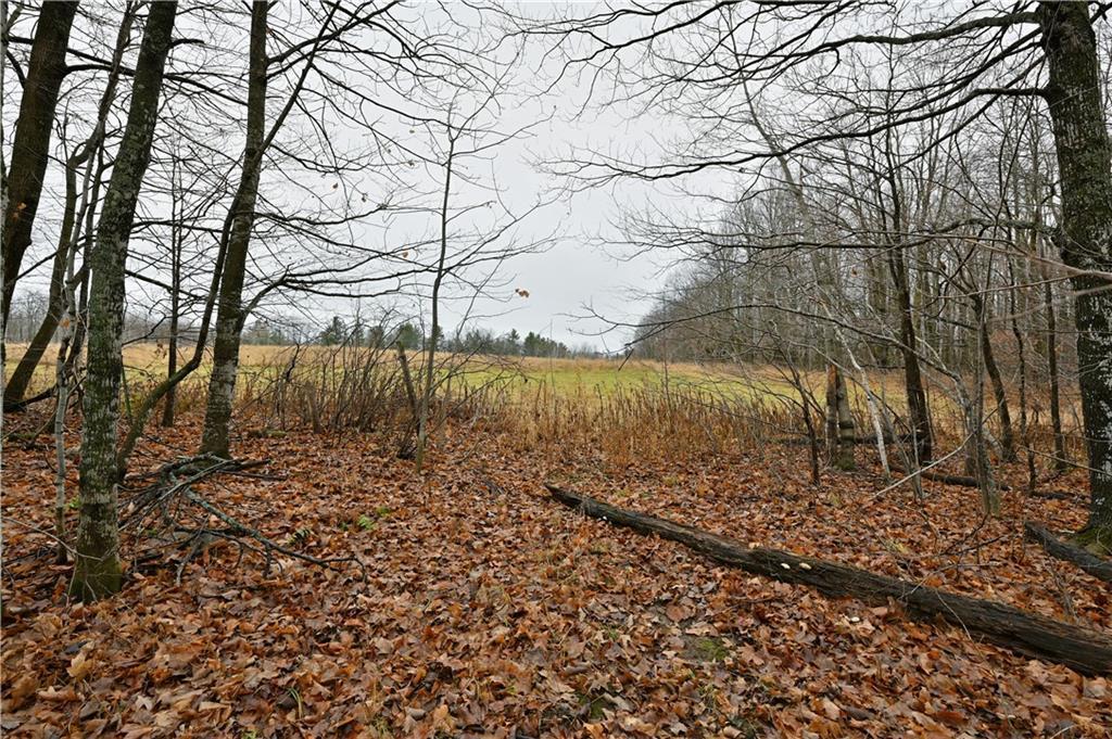 80 Acres County Highway C, Exeland, Wisconsin image 4