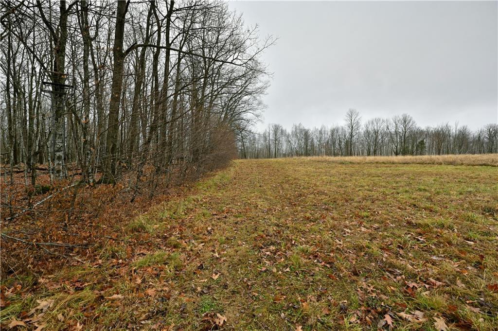 80 Acres County Highway C, Exeland, Wisconsin image 10