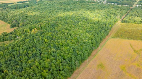 Vacant Land For Sale - TBD21 815th Avenue<br/> Dunn County, Menomonie, WI 54751