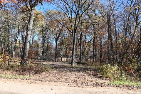 Vacant Land For Sale - 39884 Pine Island Pt Drive<br/> Todd County, Browerville, MN 56438