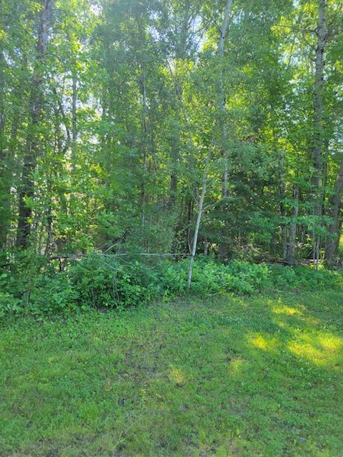 Lot 12 - TBD Driftwood Lane, Baudette, Minnesota image 13