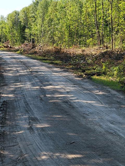 Lot 12 - TBD Driftwood Lane, Baudette, Minnesota image 15