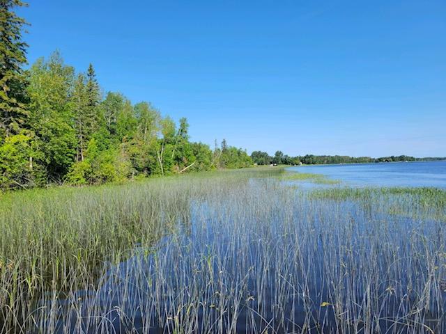 Lot 12 - TBD Driftwood Lane, Baudette, Minnesota image 17