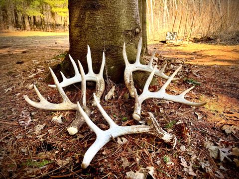 Vacant Land For Sale - COUNTY ROAD M County Road M<br/> Osceola, WI 54020