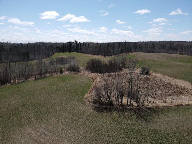 TBD Alfalfa Drive, Shevlin, Minnesota image 1