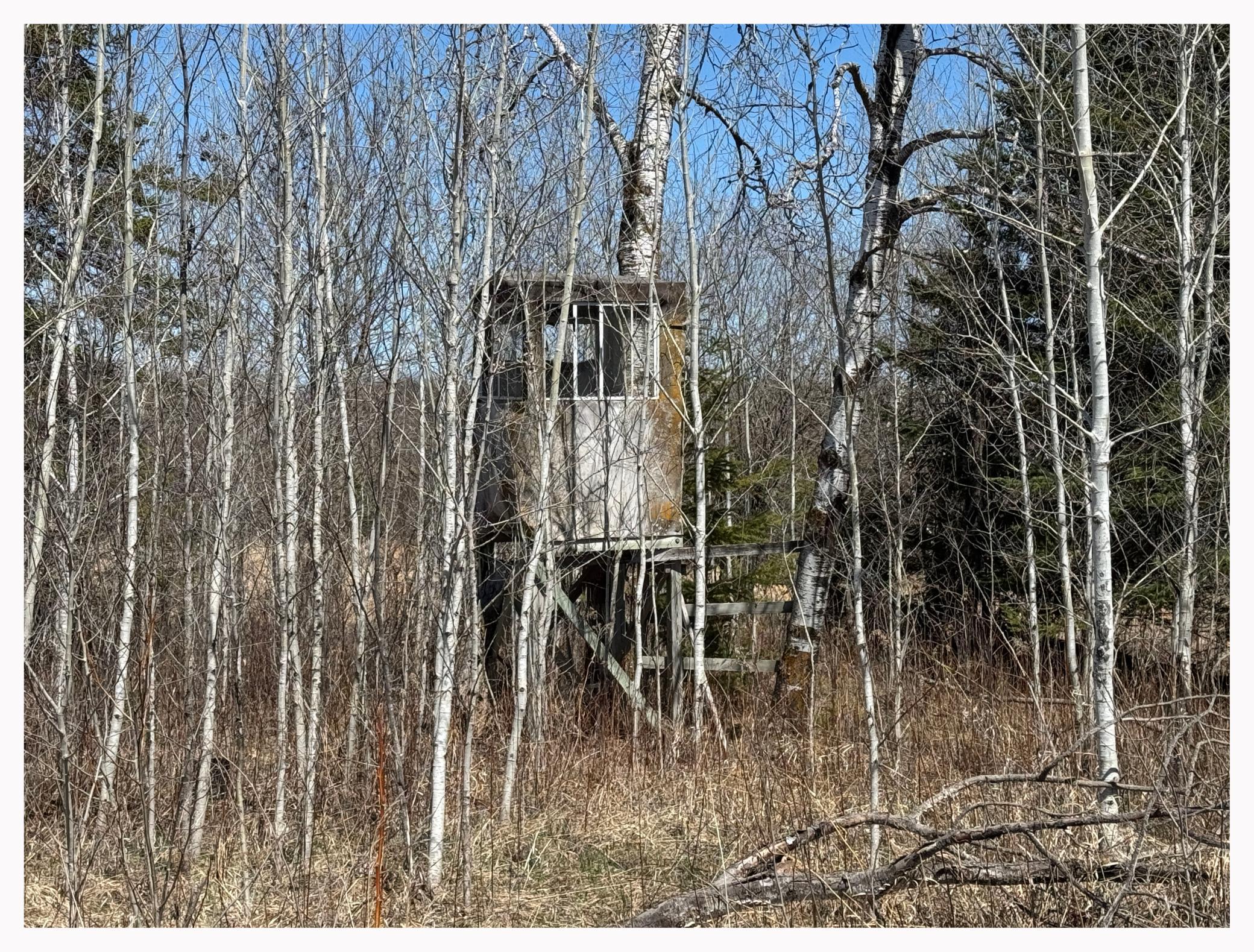 TBD Alfalfa Drive, Shevlin, Minnesota image 8