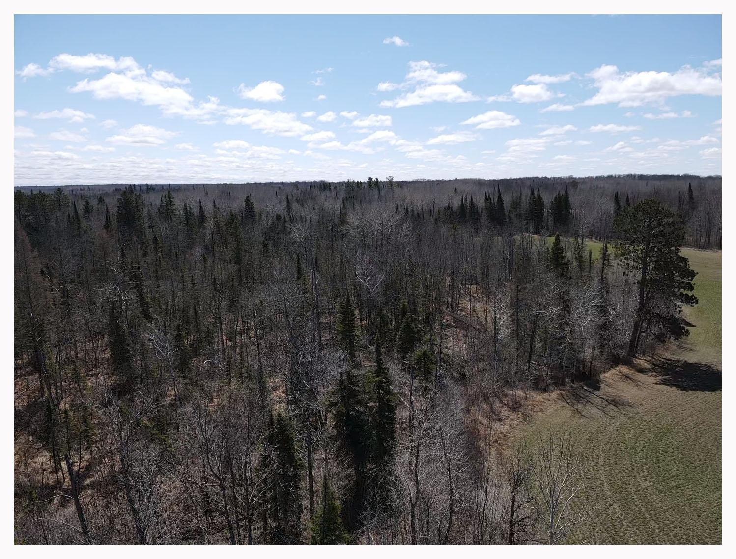 TBD Alfalfa Drive, Shevlin, Minnesota image 12