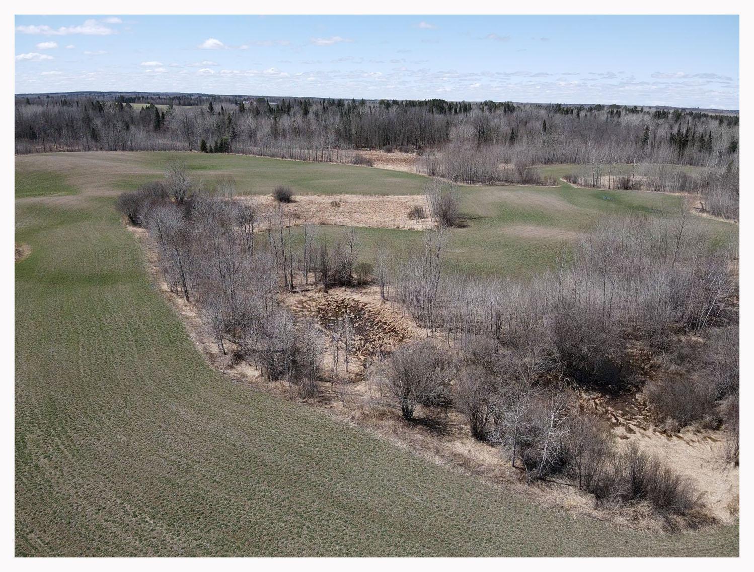 TBD Alfalfa Drive, Shevlin, Minnesota image 7